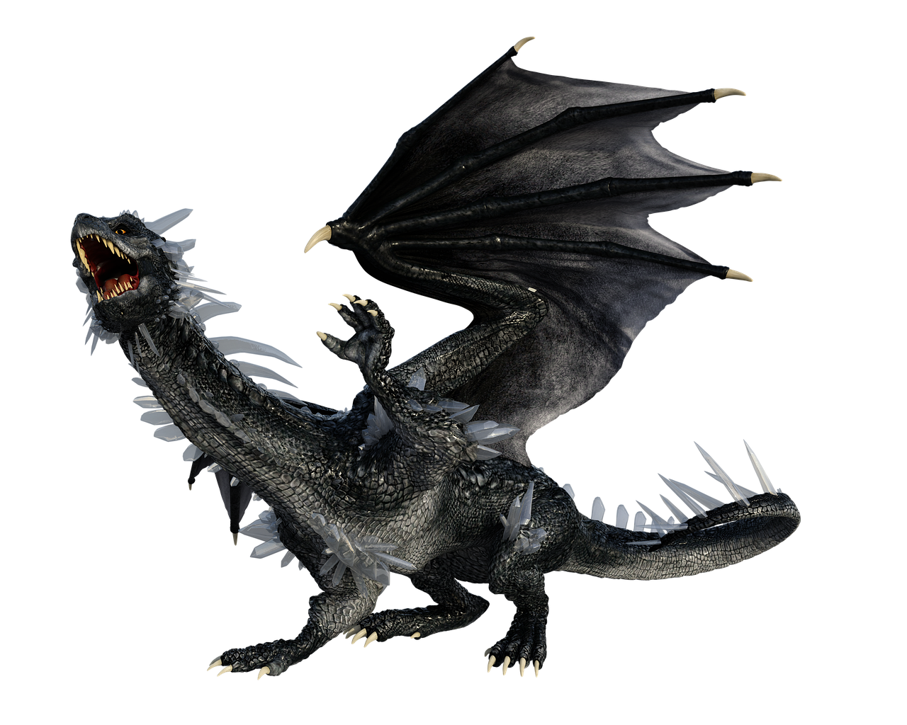 Detail Images Of Black Dragons Nomer 16