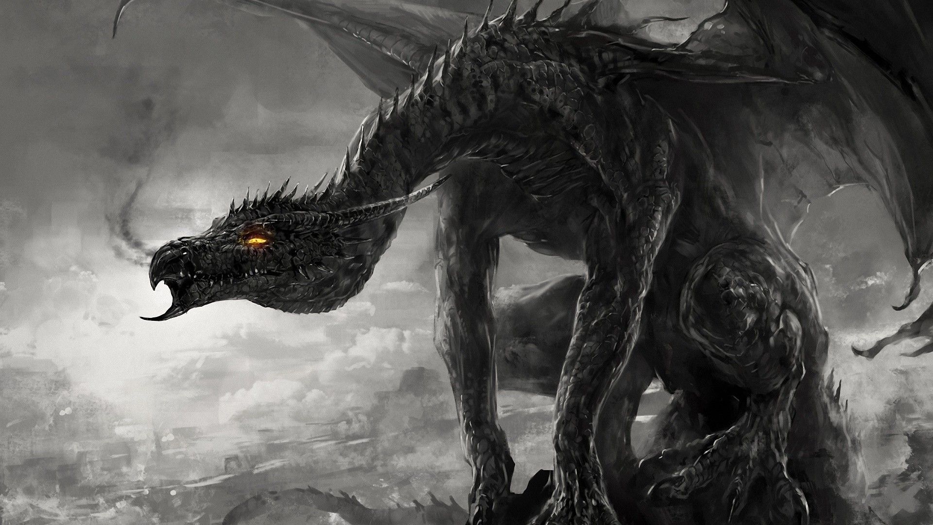 Detail Images Of Black Dragons Nomer 42