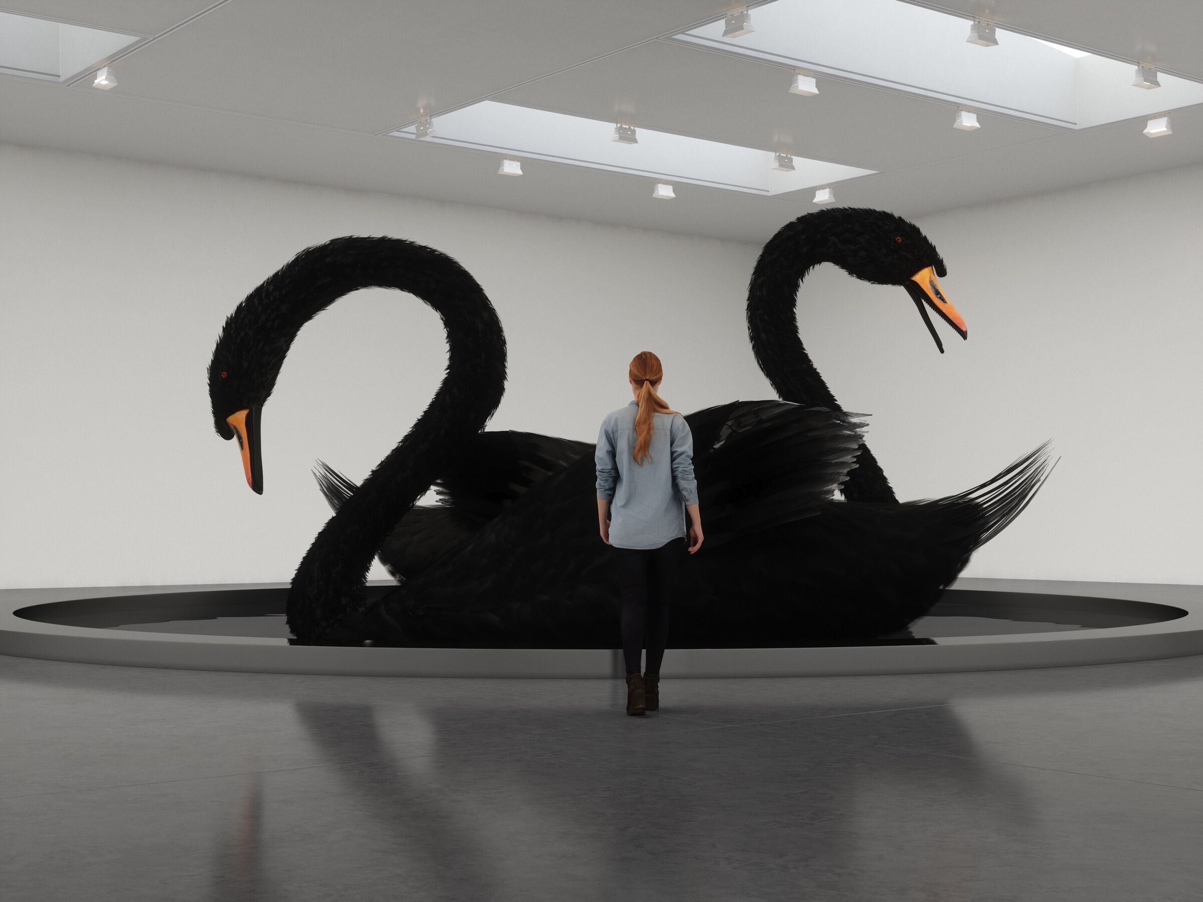 Detail Images Of Black Swans Nomer 45