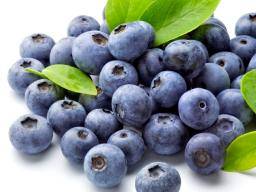Detail Images Of Blueberries Nomer 12