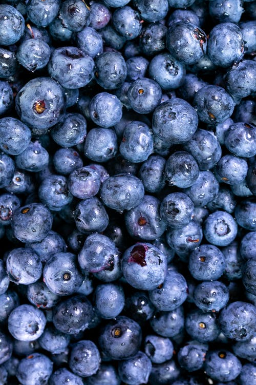 Detail Images Of Blueberries Nomer 15