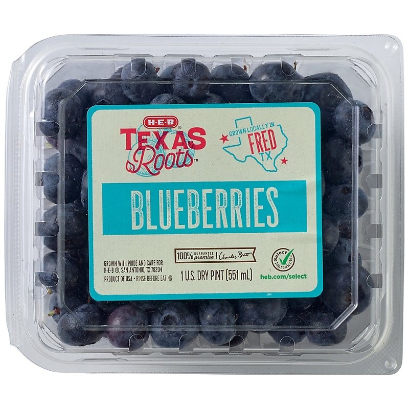 Detail Images Of Blueberries Nomer 3