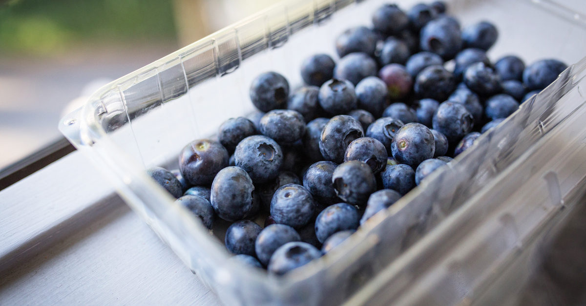 Detail Images Of Blueberries Nomer 49