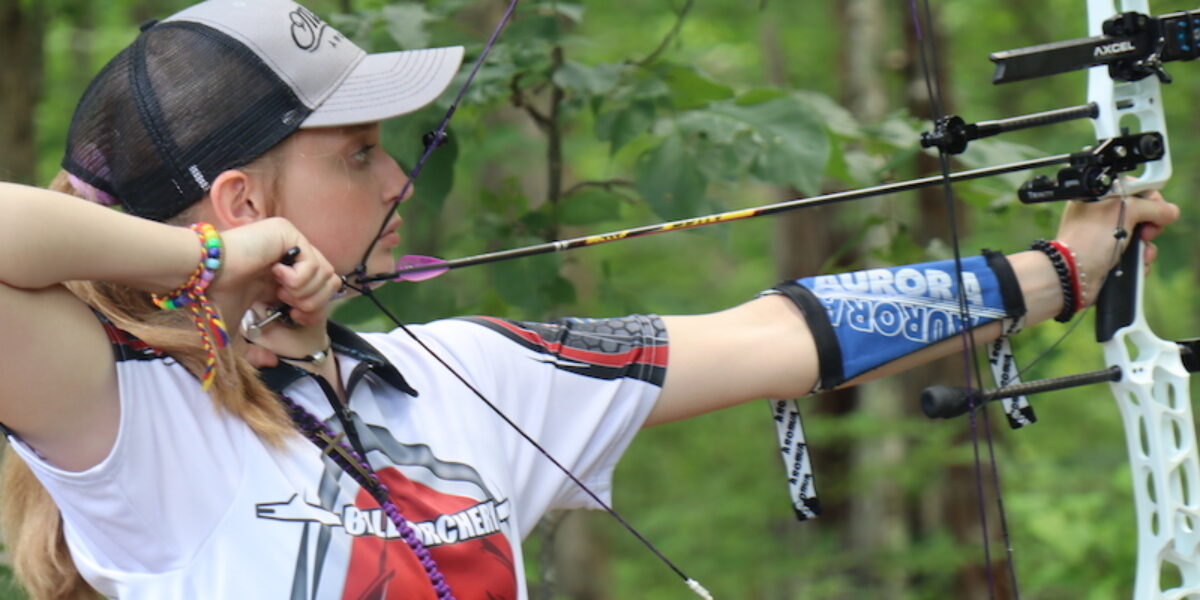Detail Images Of Bow And Arrows Nomer 50