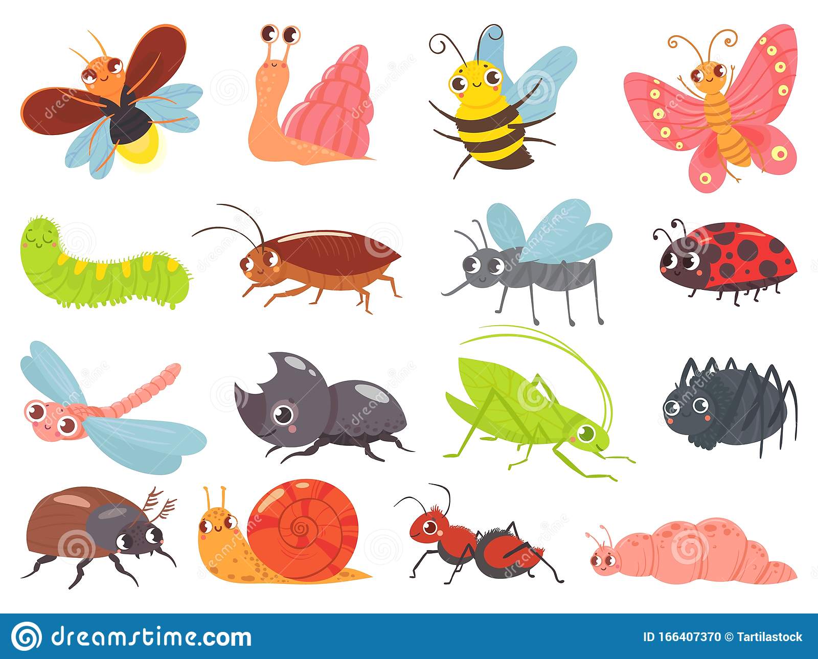 Detail Images Of Bugs And Insects Nomer 14