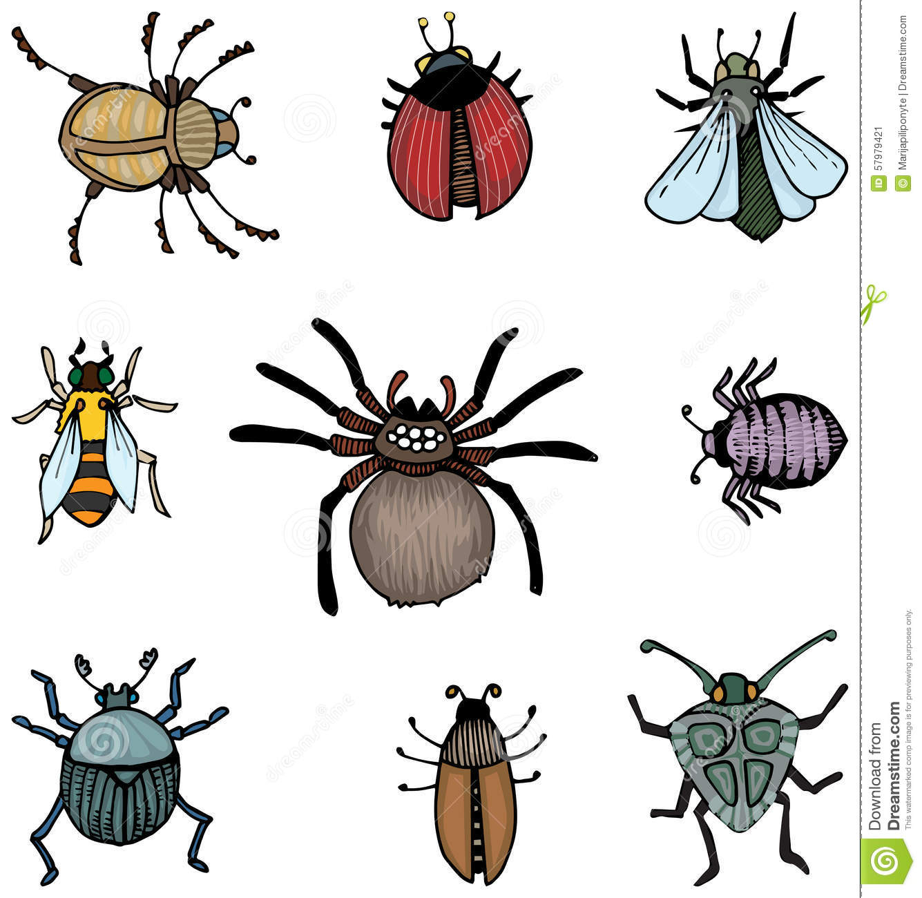 Detail Images Of Bugs And Insects Nomer 15