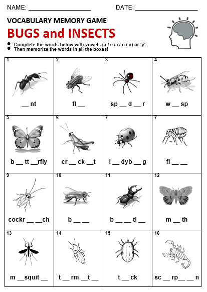 Detail Images Of Bugs And Insects Nomer 25