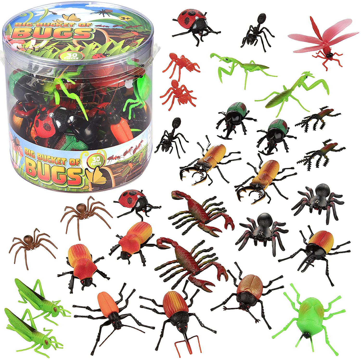 Detail Images Of Bugs And Insects Nomer 39