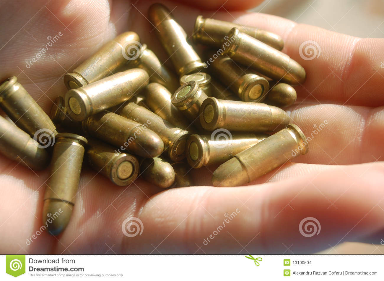 Detail Images Of Bullets Nomer 47