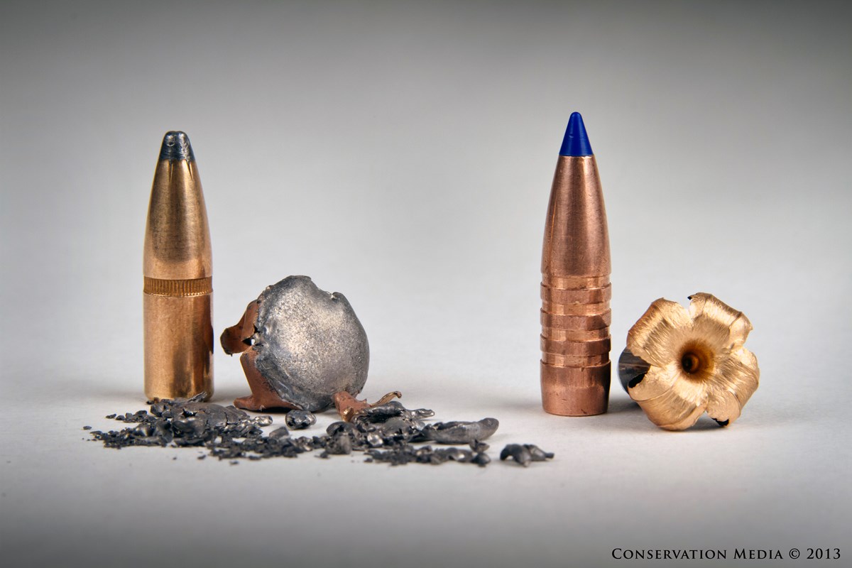 Detail Images Of Bullets Nomer 56