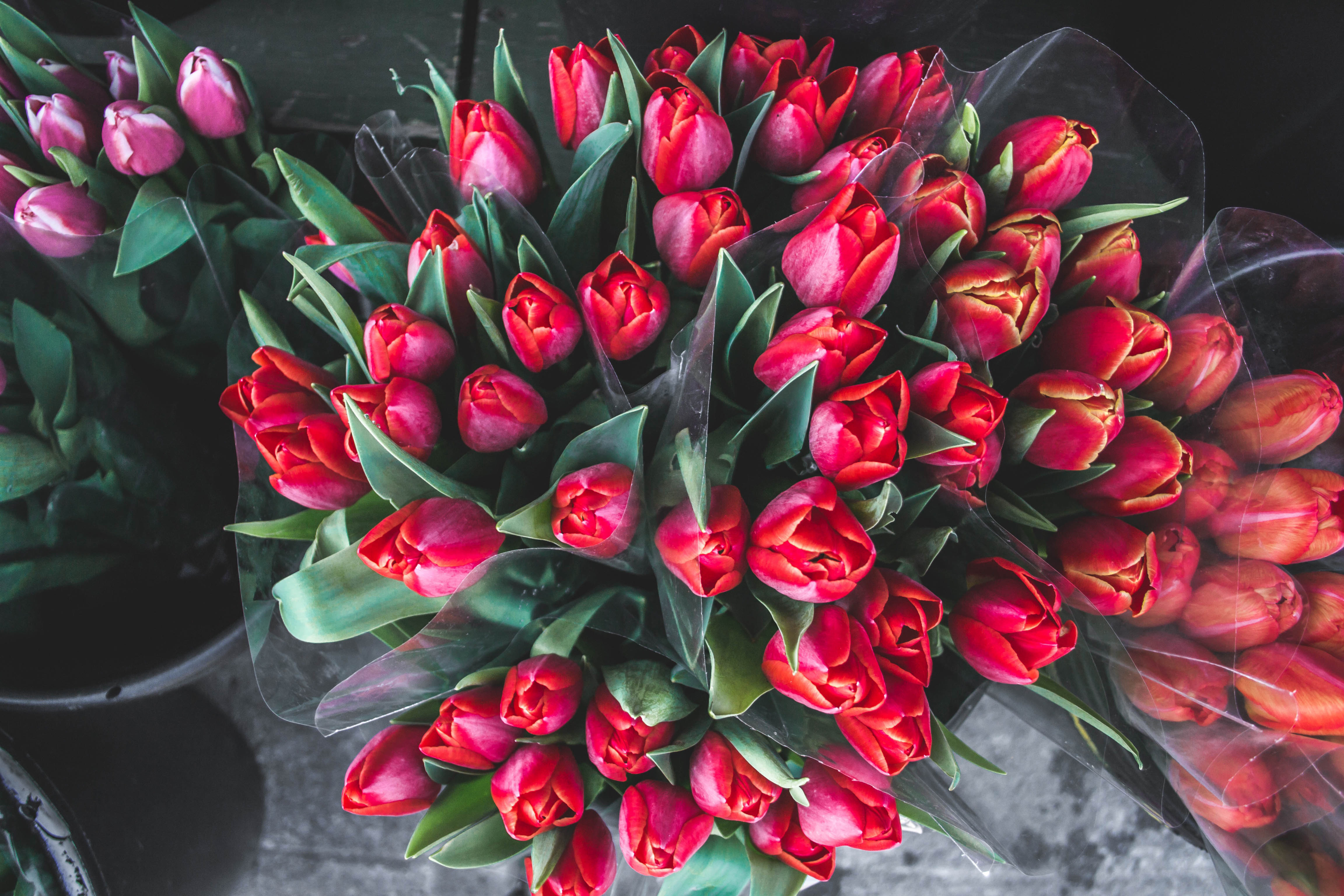 Detail Images Of Bunches Of Flowers Nomer 4