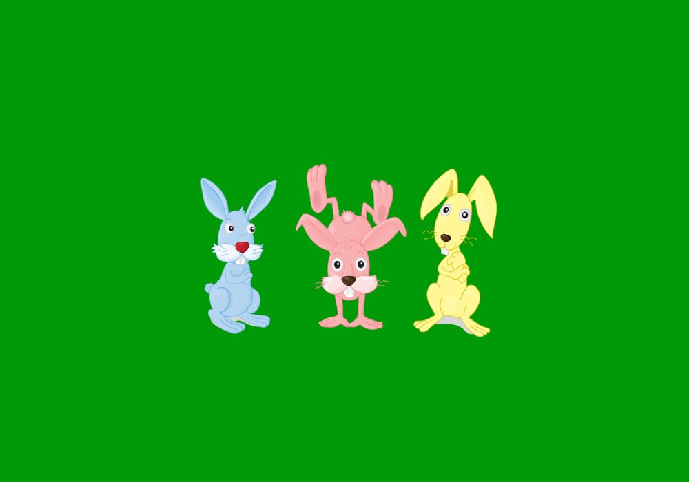 Detail Images Of Bunny Rabbits Nomer 35
