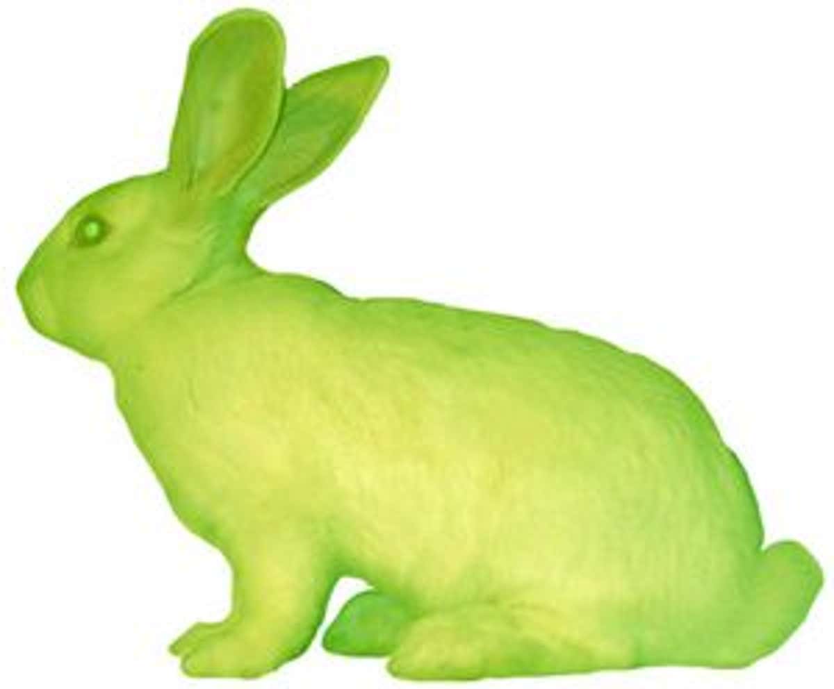Detail Images Of Bunny Rabbits Nomer 49