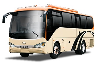 Detail Images Of Bus Nomer 37