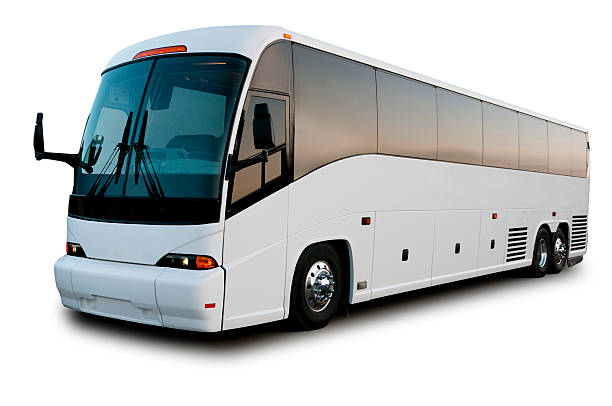 Detail Images Of Bus Nomer 6