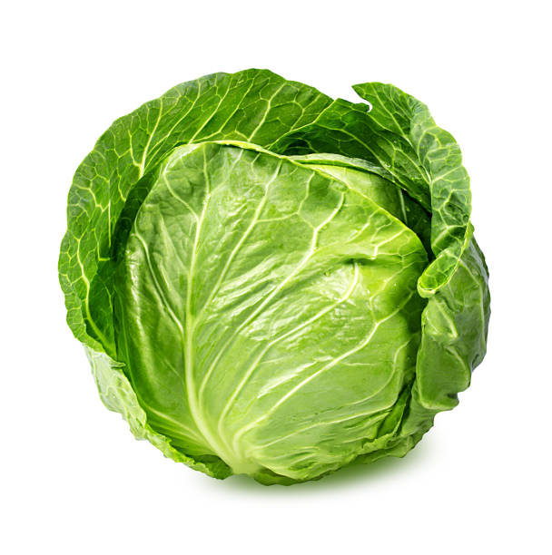 Detail Images Of Cabbage Nomer 2