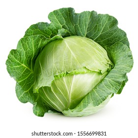 Detail Images Of Cabbage Nomer 17