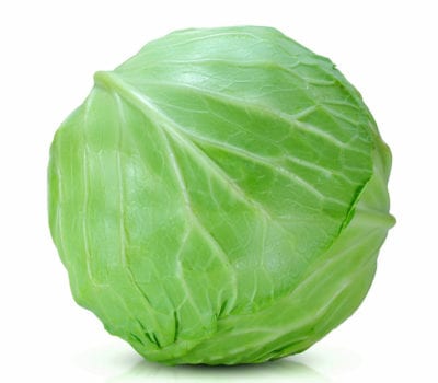 Detail Images Of Cabbage Nomer 3
