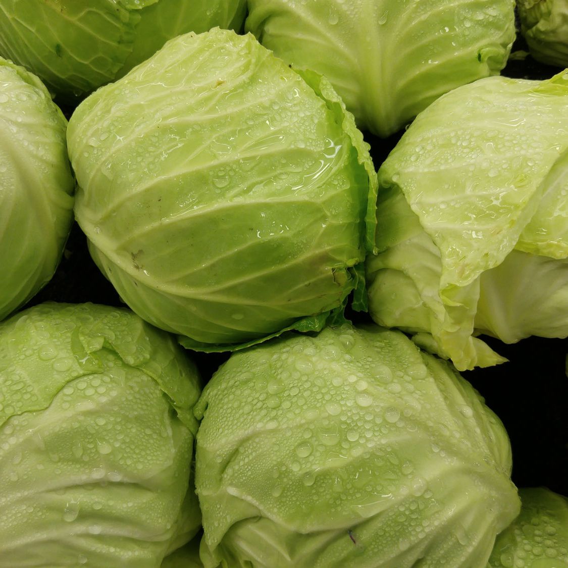 Detail Images Of Cabbage Nomer 23
