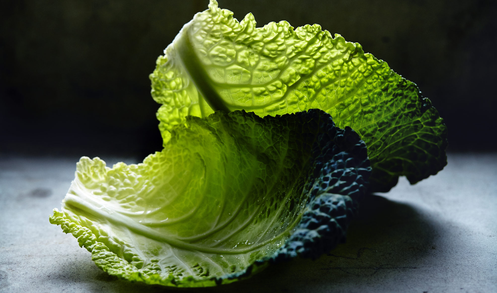 Detail Images Of Cabbage Nomer 41