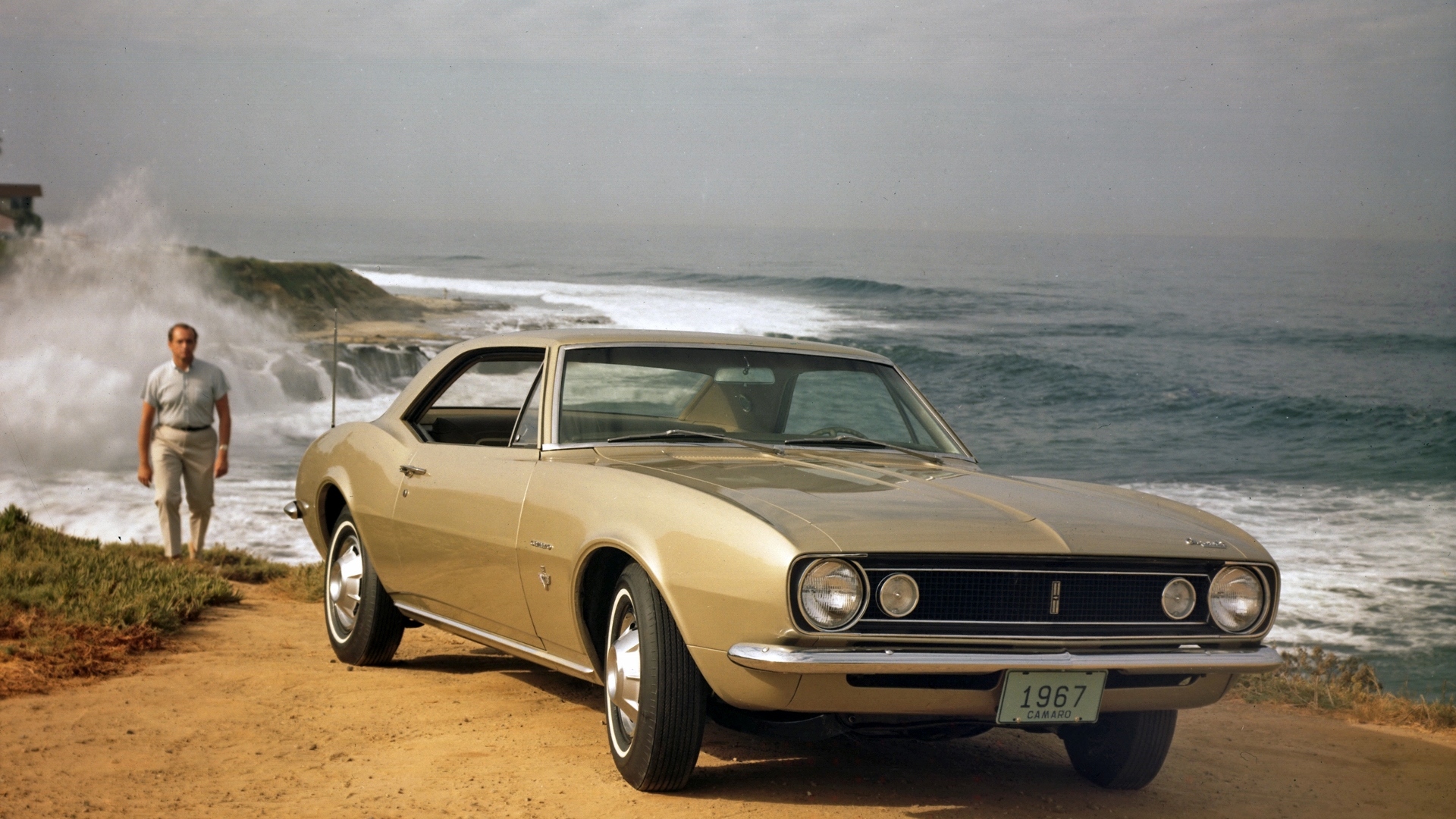 Detail Images Of Camaros Nomer 32