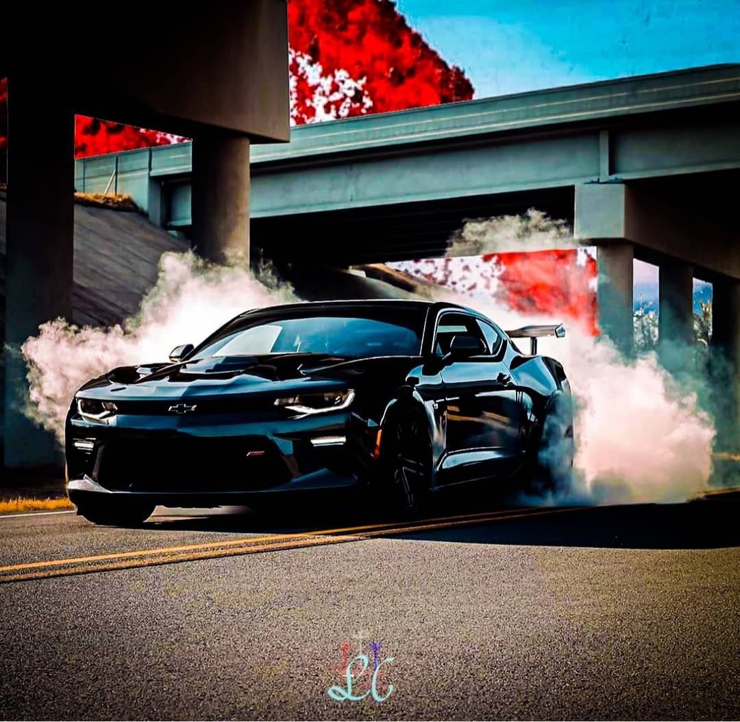 Detail Images Of Camaros Nomer 40