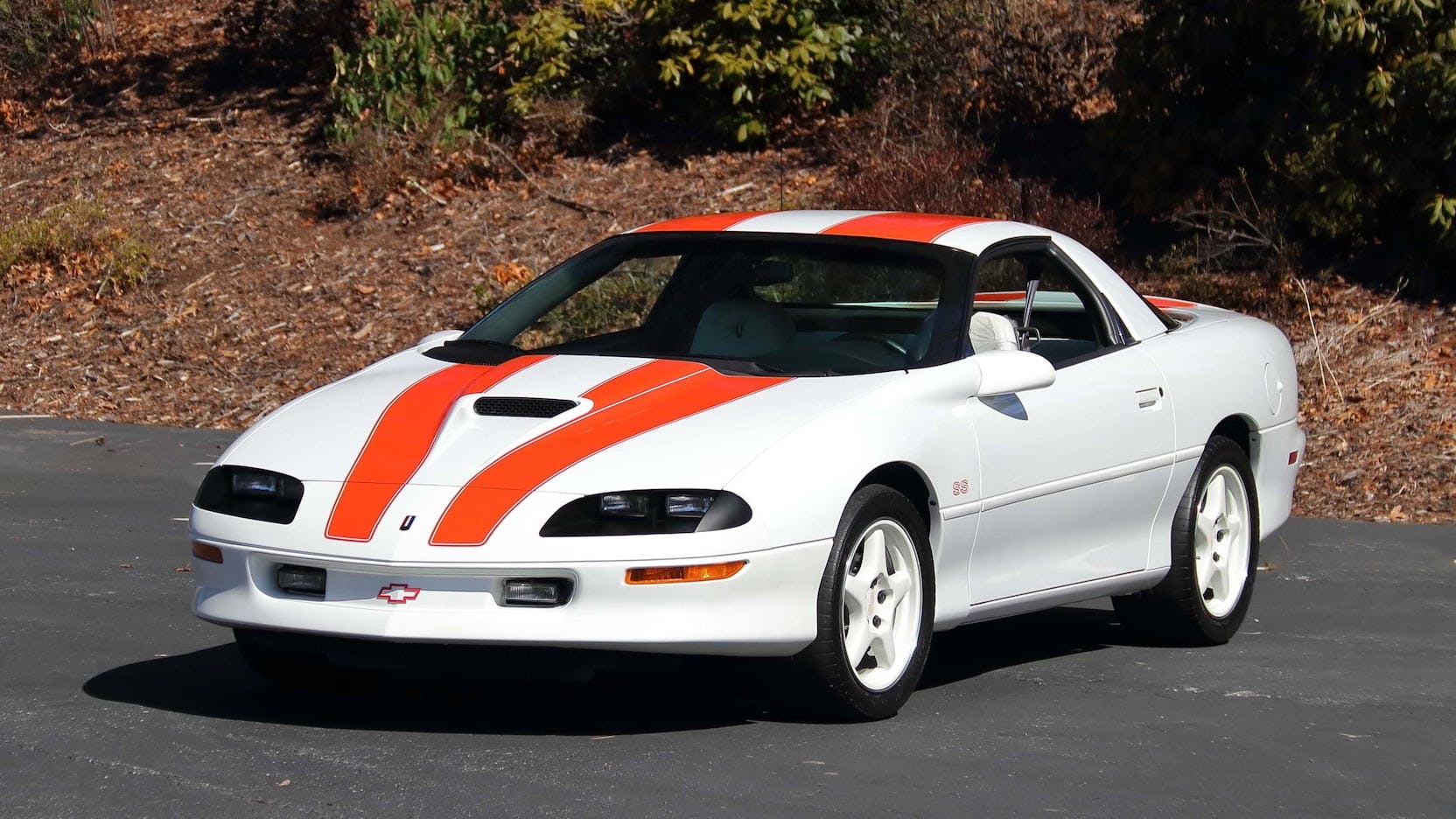 Detail Images Of Camaros Nomer 43