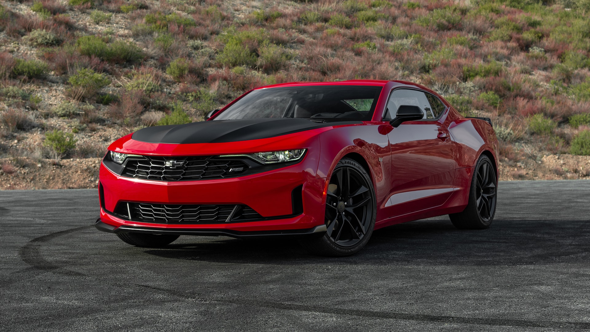 Detail Images Of Camaros Nomer 53