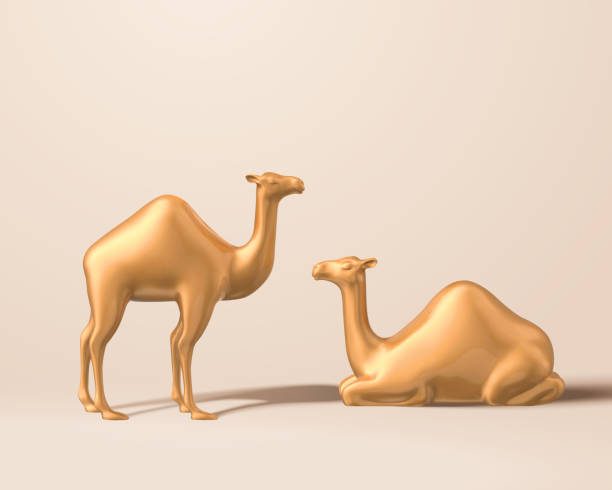 Detail Images Of Camels Nomer 42