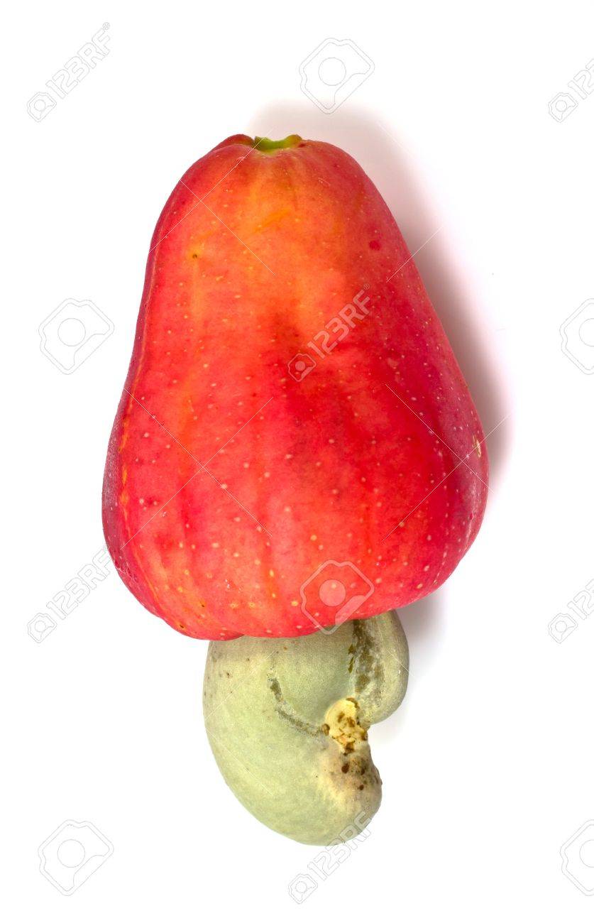 Detail Images Of Cashew Fruit Nomer 49