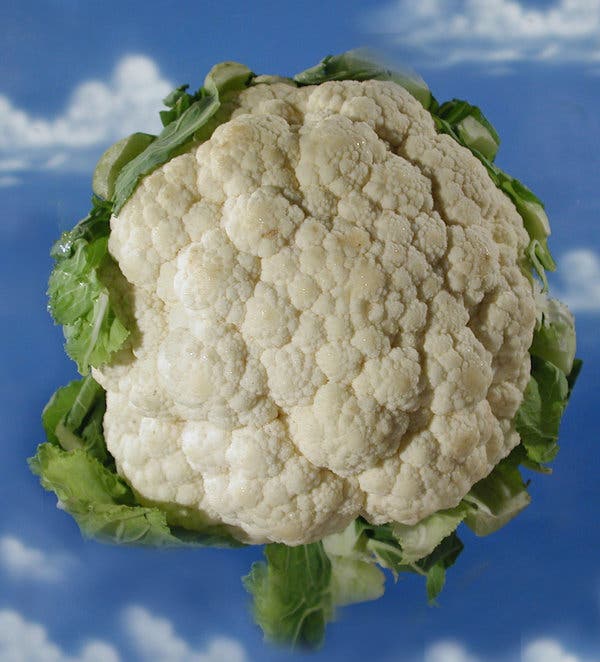 Detail Images Of Cauliflower Nomer 12