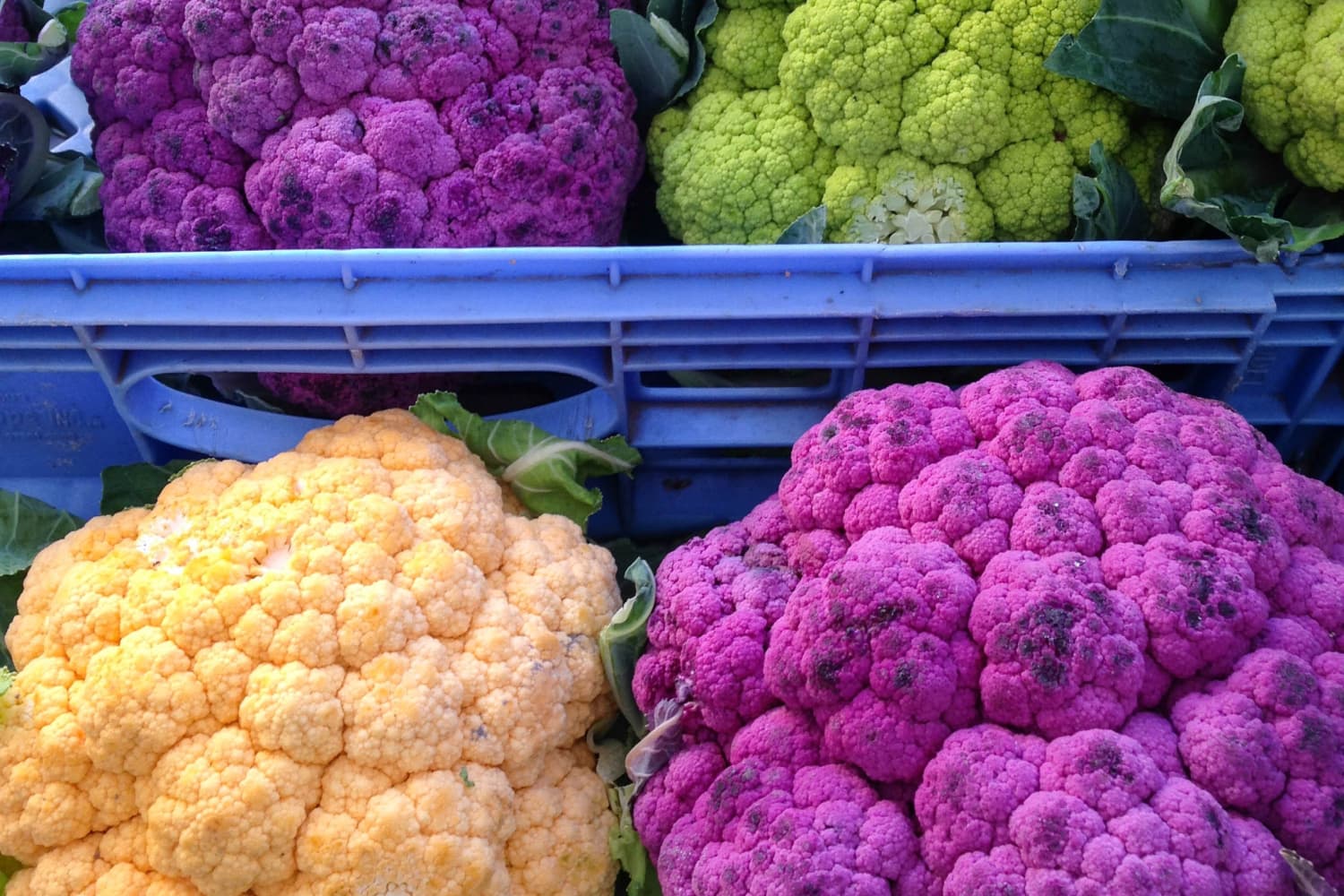 Detail Images Of Cauliflower Nomer 19