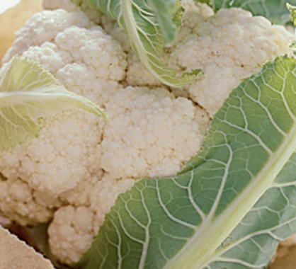 Detail Images Of Cauliflower Nomer 25