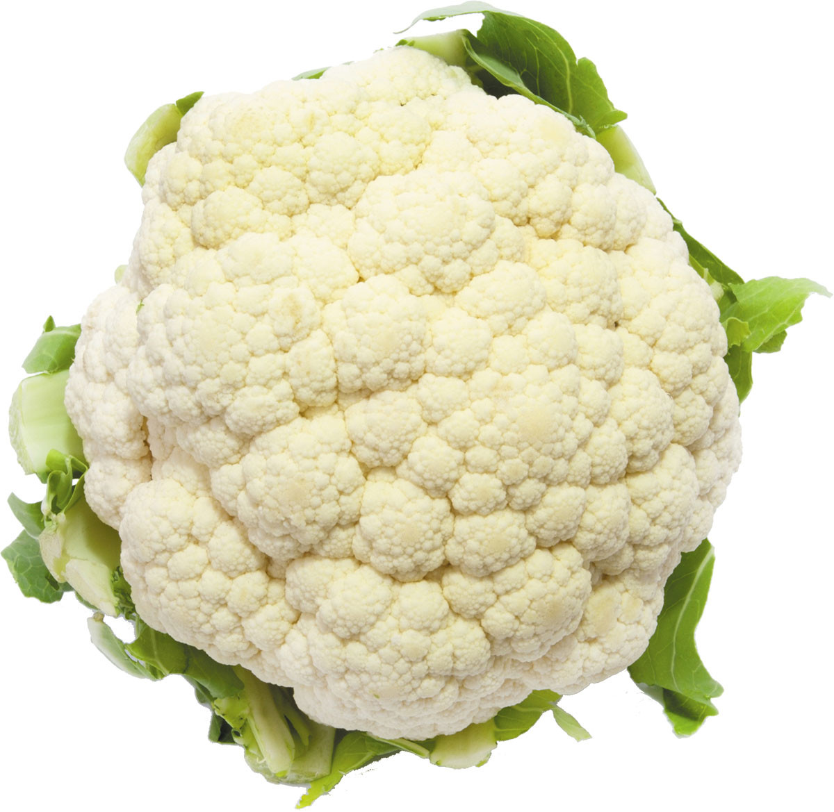 Detail Images Of Cauliflower Nomer 4