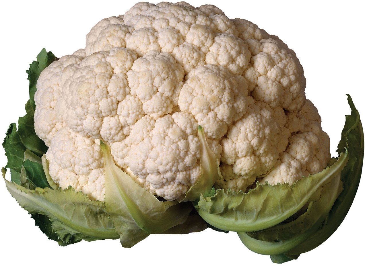 Detail Images Of Cauliflower Nomer 29