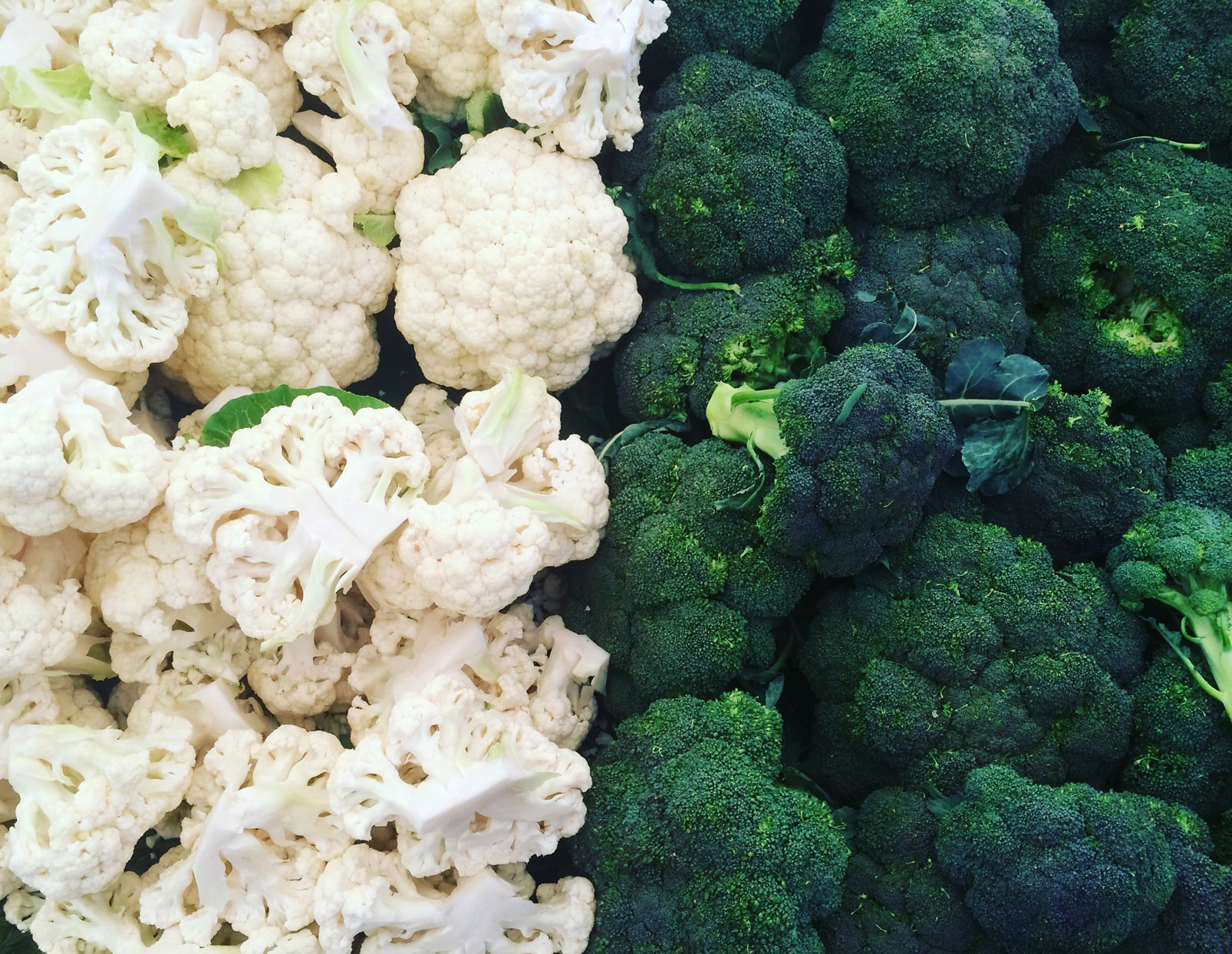 Detail Images Of Cauliflower Nomer 31