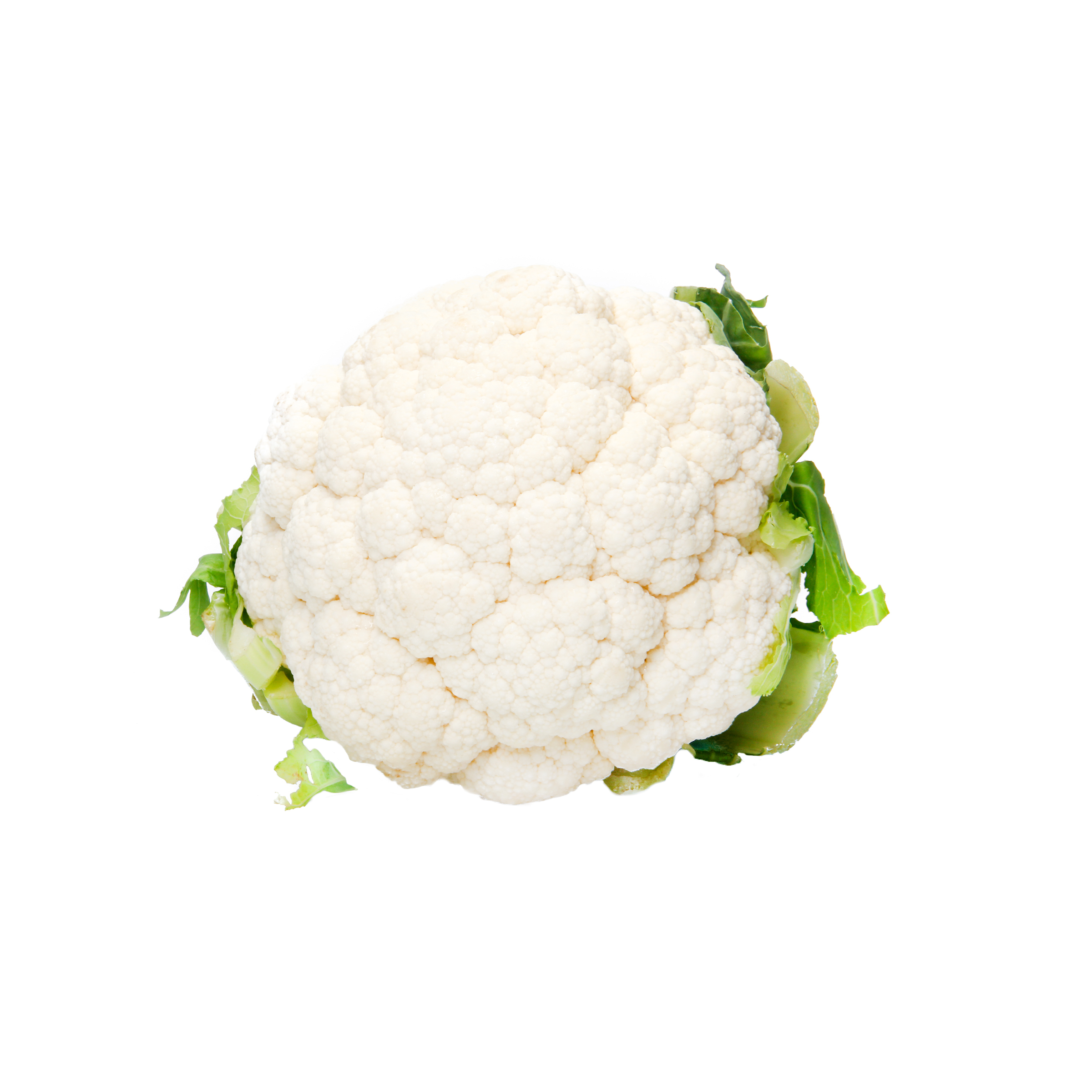 Detail Images Of Cauliflower Nomer 32