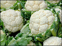 Detail Images Of Cauliflower Nomer 36