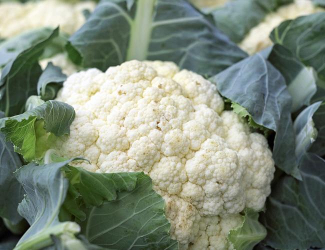 Detail Images Of Cauliflower Nomer 46
