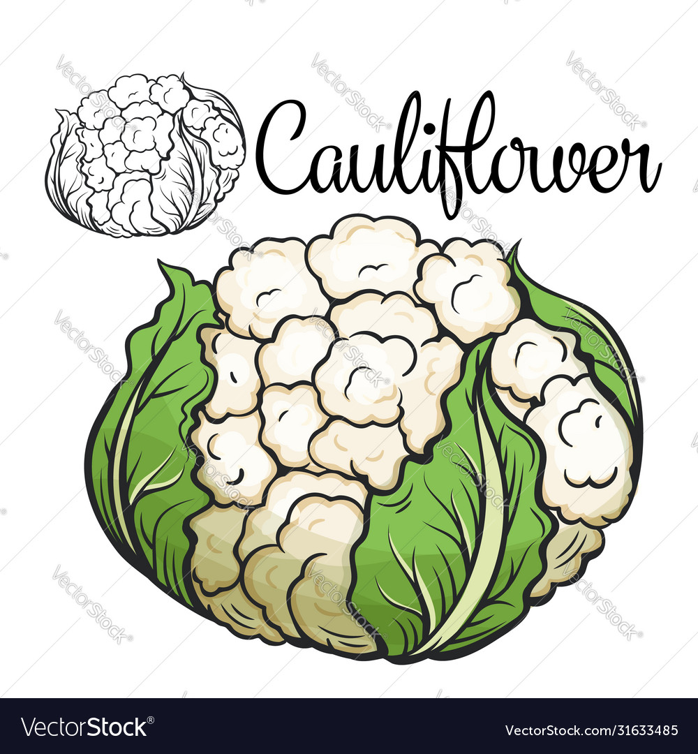 Detail Images Of Cauliflower Nomer 52