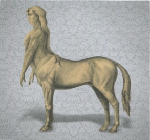 Detail Images Of Centaurs Nomer 29