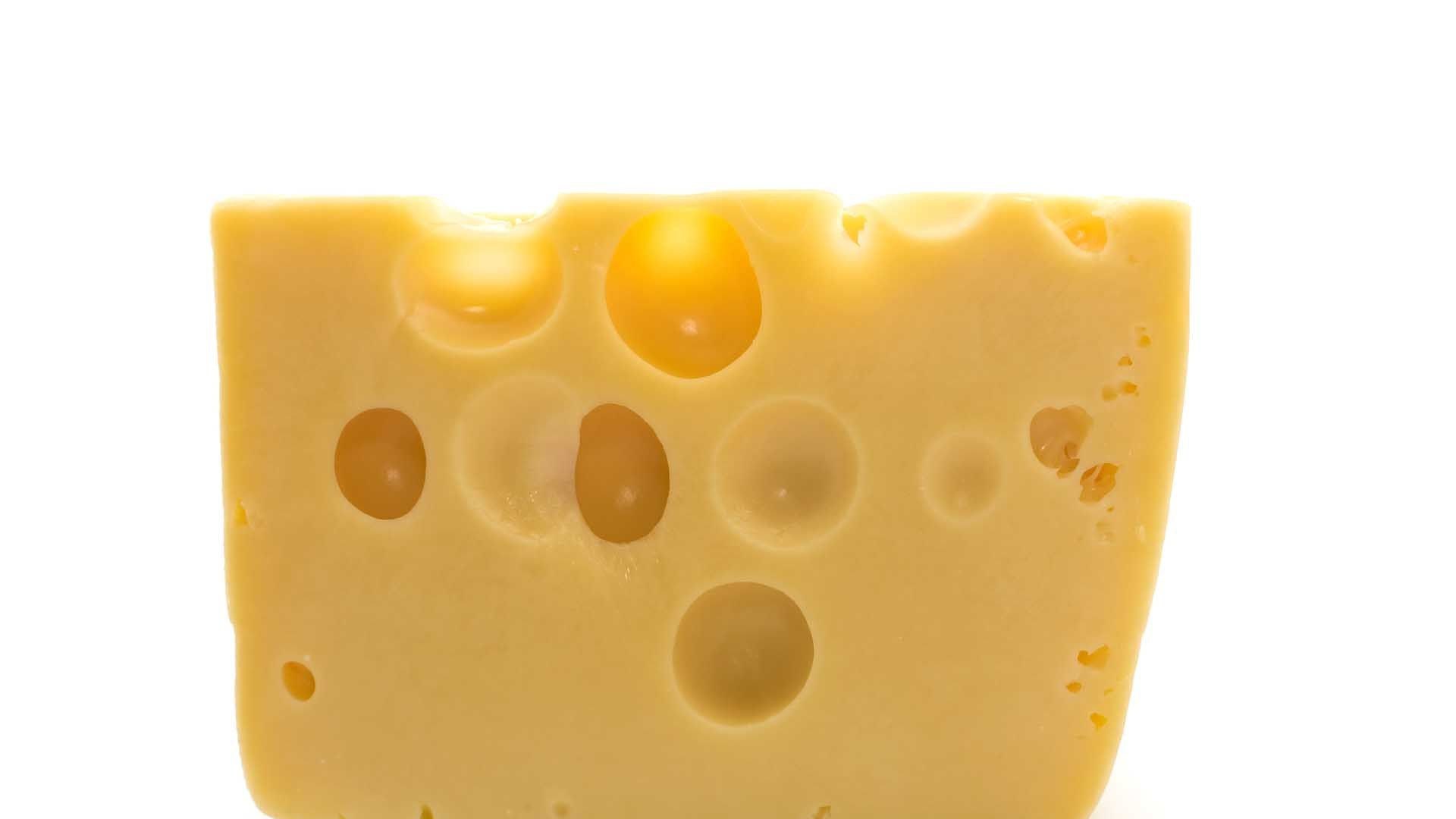 Detail Images Of Cheese Nomer 29