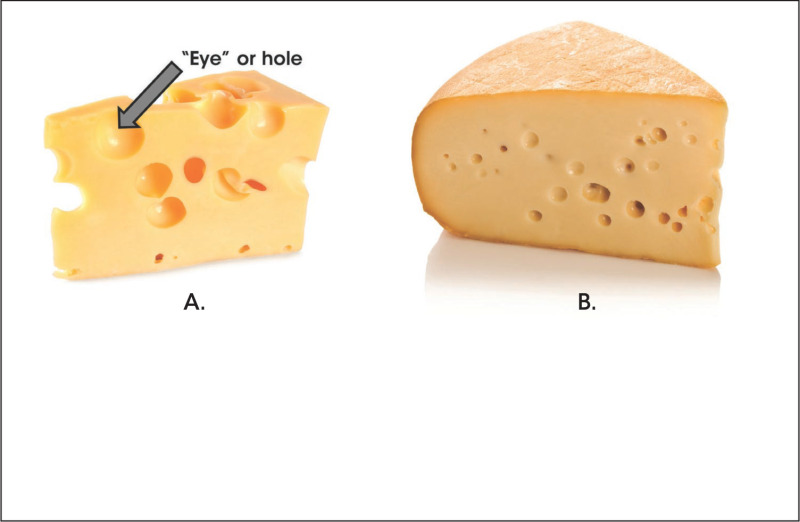 Detail Images Of Cheese Nomer 31