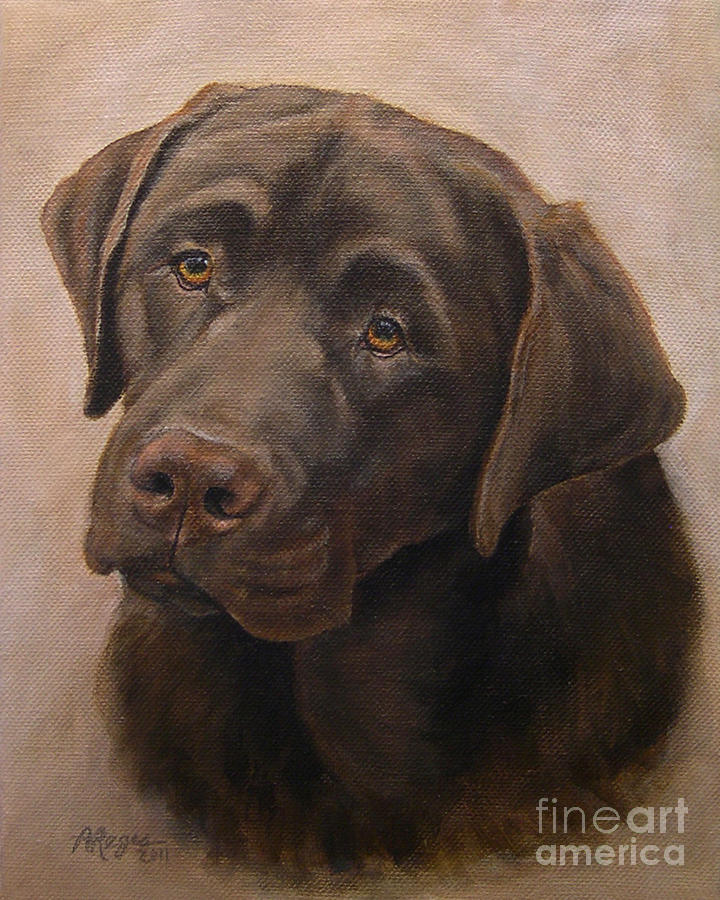 Detail Images Of Chocolate Labs Nomer 56