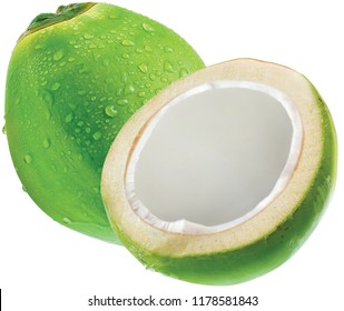 Detail Images Of Coconut Nomer 22