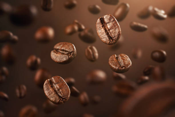 Detail Images Of Coffee Beans Nomer 18