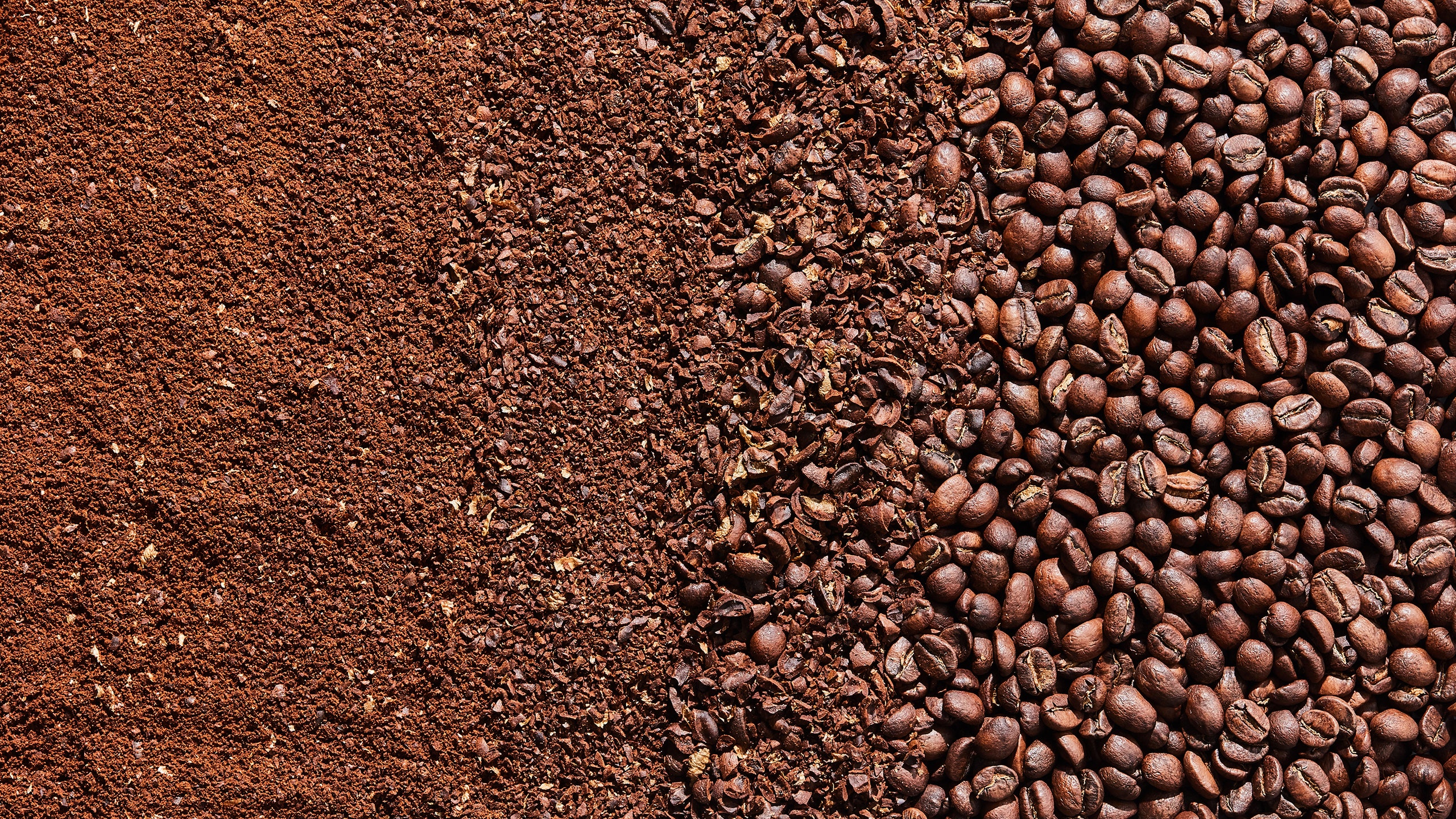 Detail Images Of Coffee Beans Nomer 21
