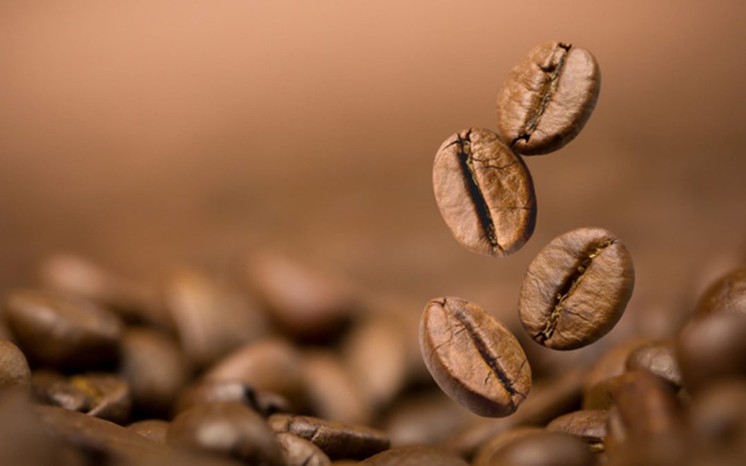 Detail Images Of Coffee Beans Nomer 53