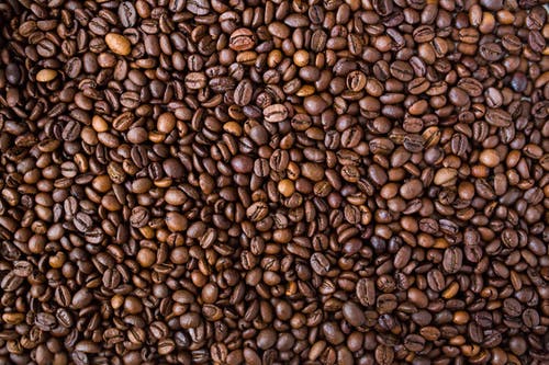 Detail Images Of Coffee Beans Nomer 56