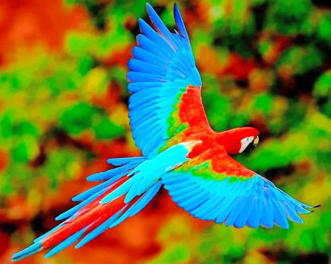 Detail Images Of Colorful Parrots Nomer 34